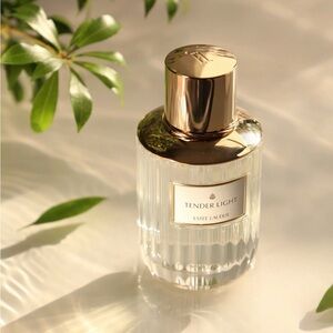 NEW Estee Lauder Tender Light  Eau de Parfume Spray 3.4oz/100ml